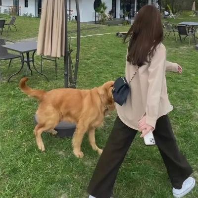 孩子他爸 海报